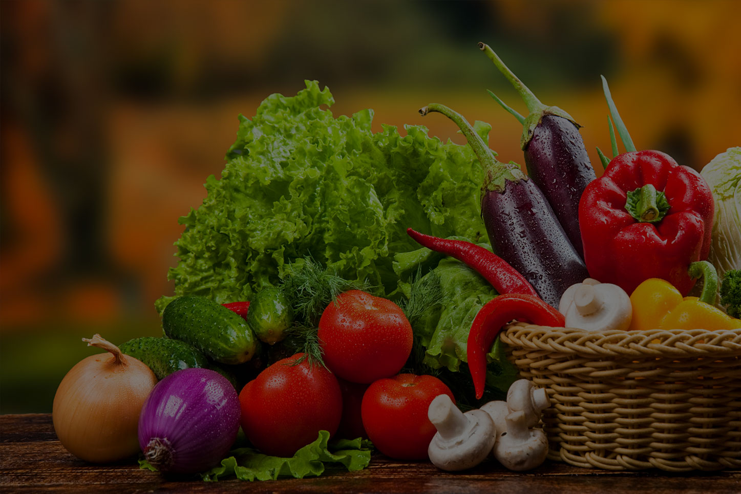 海藻、魚蛋白系列